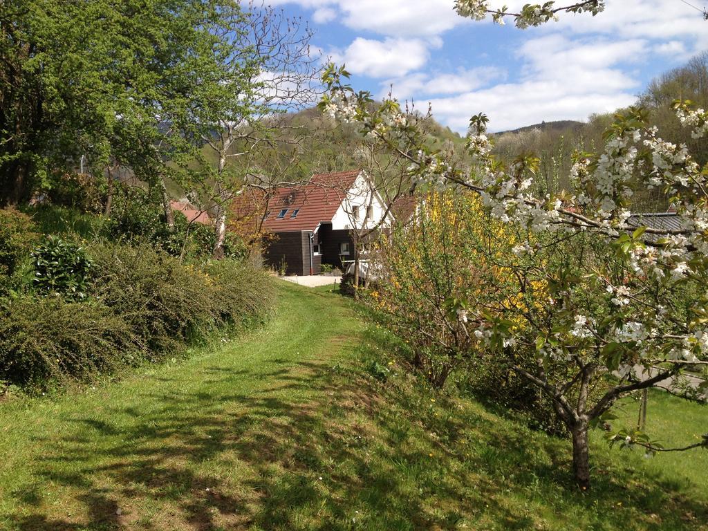 Gite Bellevue Breitenbach Kamer foto