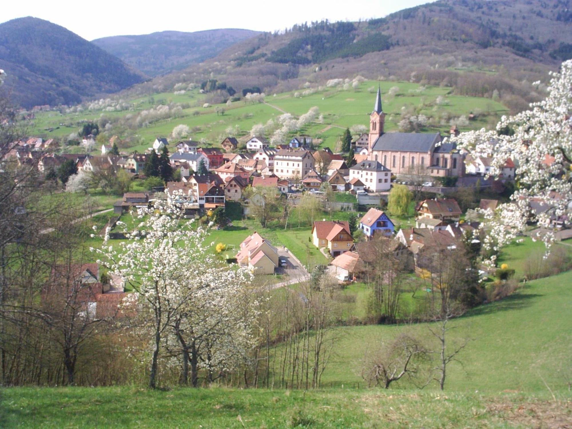 Gite Bellevue Breitenbach Buitenkant foto