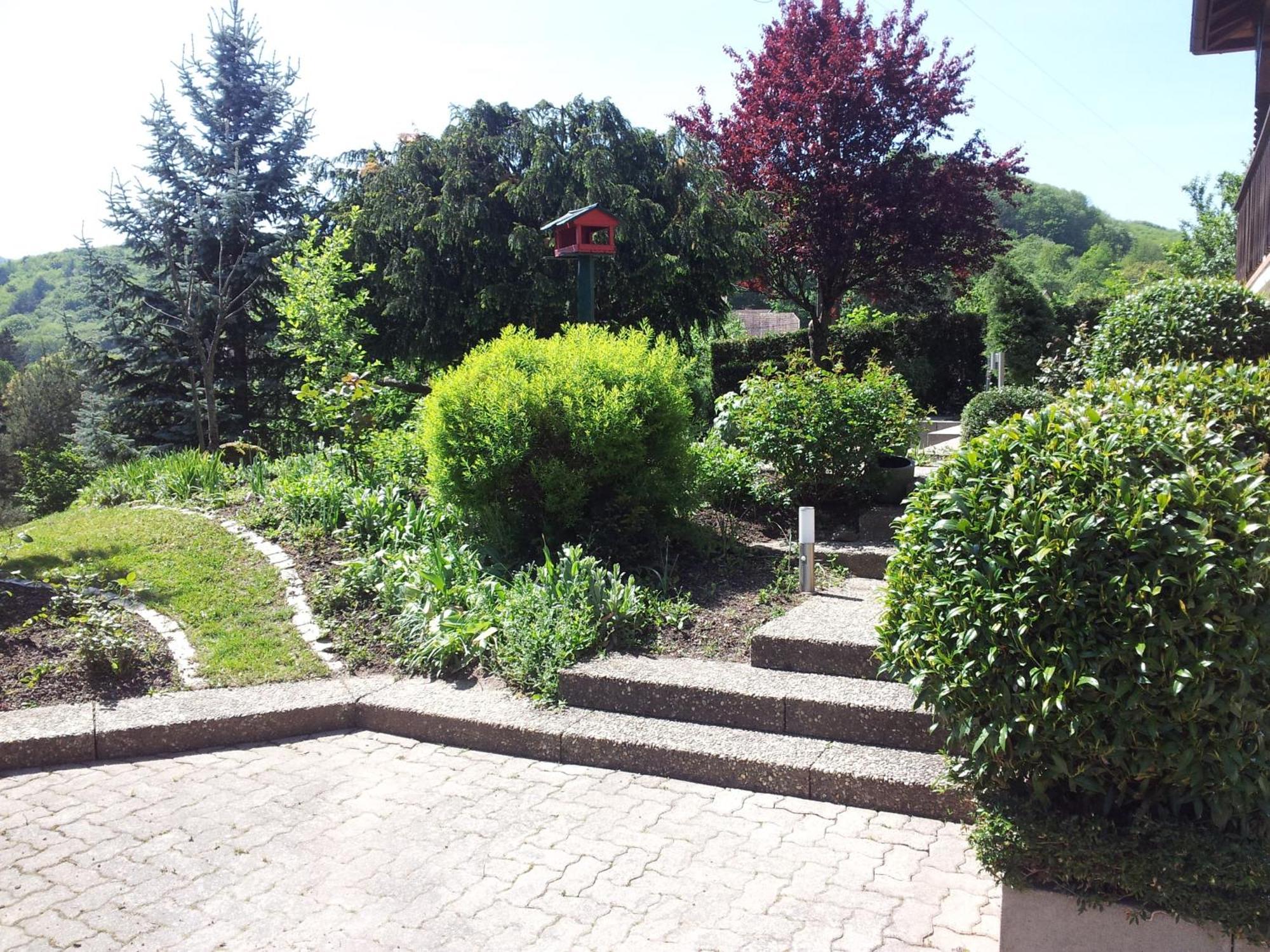 Gite Bellevue Breitenbach Buitenkant foto