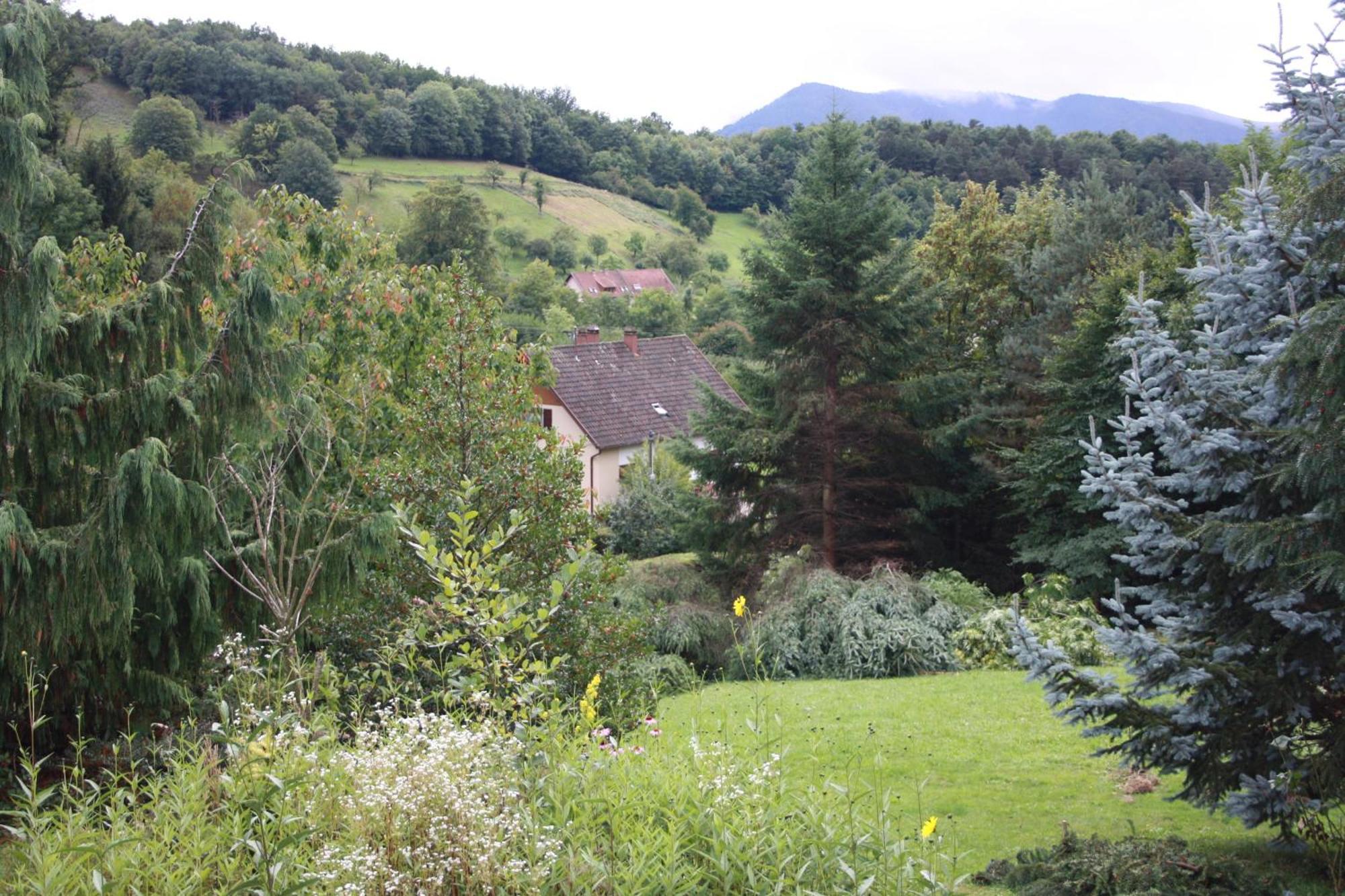 Gite Bellevue Breitenbach Buitenkant foto