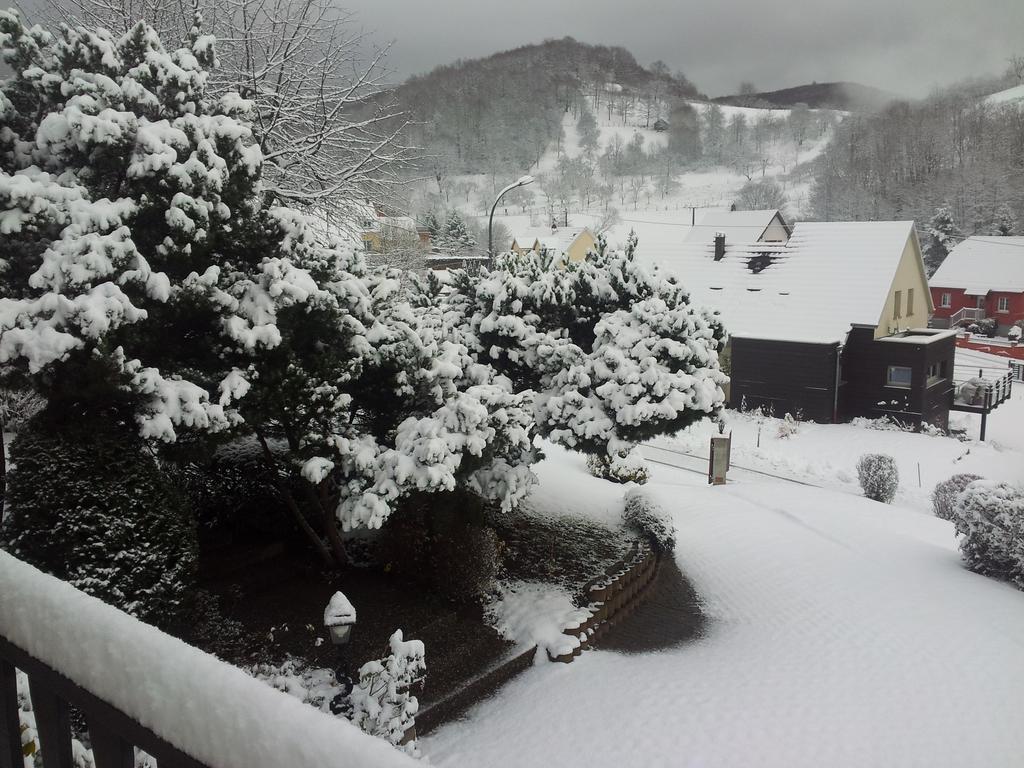 Gite Bellevue Breitenbach Kamer foto