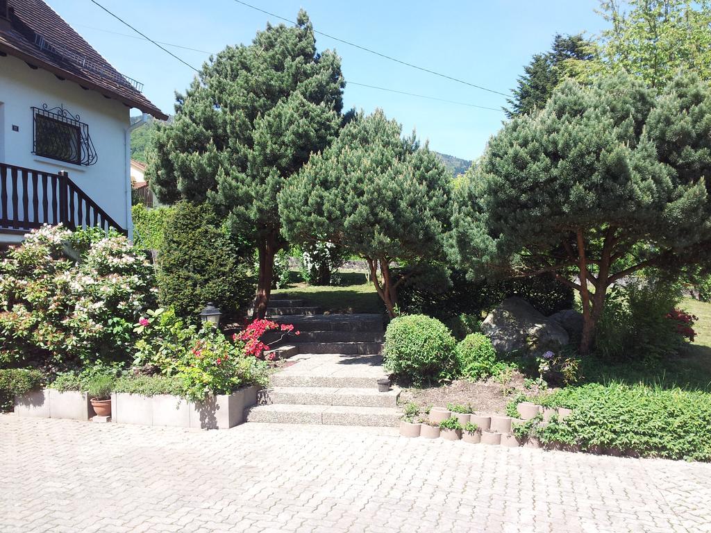Gite Bellevue Breitenbach Buitenkant foto